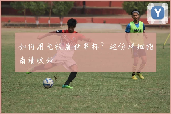 如何用电视看世界杯?这份详细指南请收好
