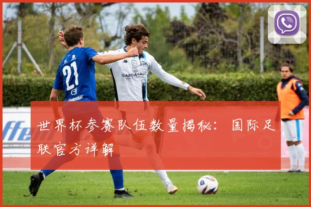 世界杯参赛队伍数量揭秘:国际足联官方详解