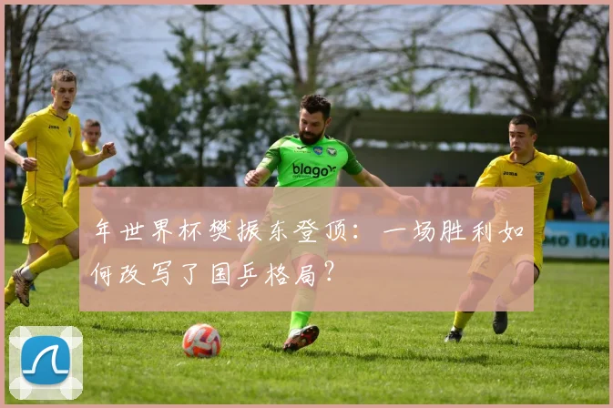 年世界杯樊振东登顶：一场胜利如何改写了国乒格局？