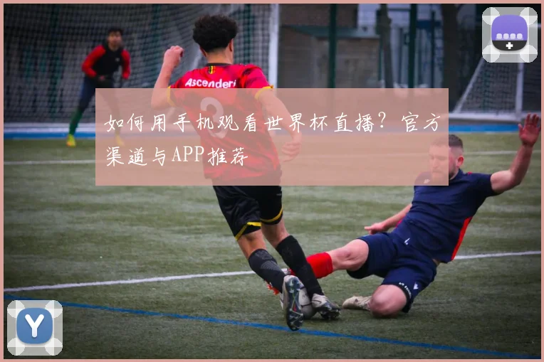 如何用手机观看世界杯直播？官方渠道与APP推荐