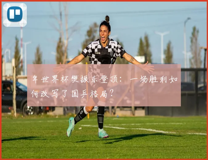 年世界杯樊振东登顶：一场胜利如何改写了国乒格局？