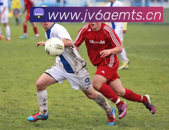 奇异果网页版APP 封面图